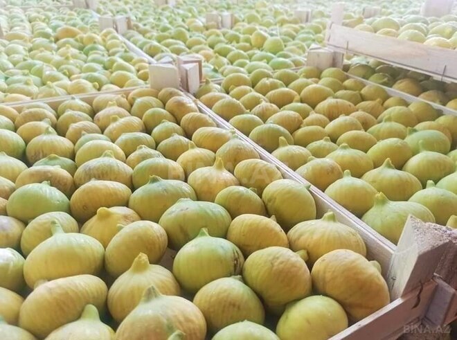 Satılır  obyekt 2 500 m², Maştağa q., photo 20 from 32