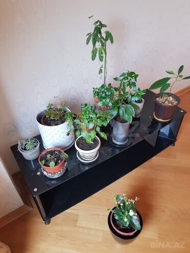 Satılır 4 otaqlı yeni tikili 206 m², Elmlər Akademiyası m., photo 23 from 26