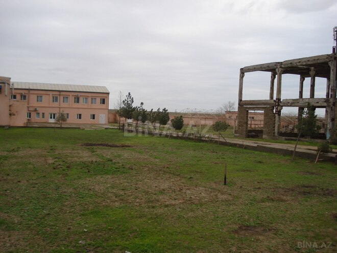 Участок - пос. Амирджаны - 100 сот (4)
