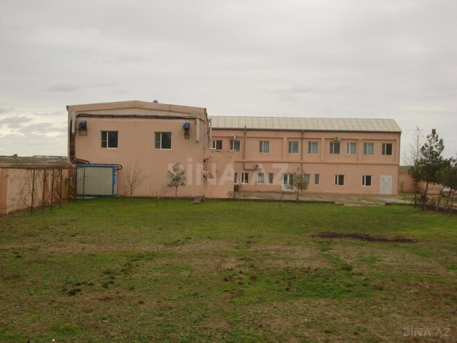 Участок - пос. Амирджаны - 100 сот (5)