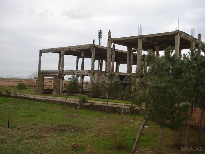 Участок - пос. Амирджаны - 100 сот (6)