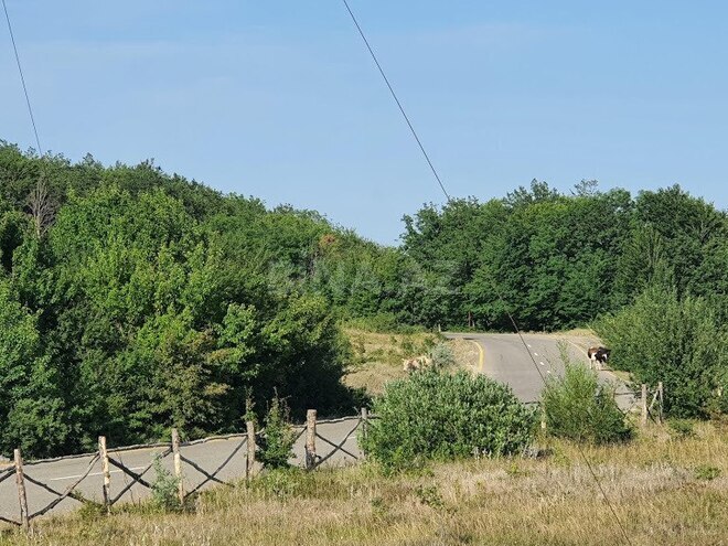 Satılır 6 otaqlı həyət evi/bağ evi 700 m², photo 30 from 51
