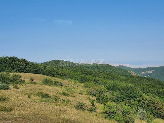 Satılır 6 otaqlı həyət evi/bağ evi 700 m², photo 37 from 51