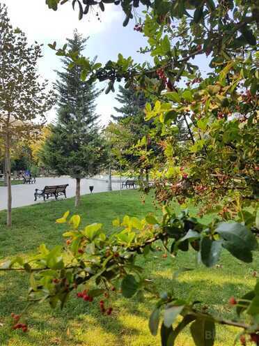 Satılır 3 otaqlı yeni tikili 144 m², Nəsimi r., photo 4 from 19