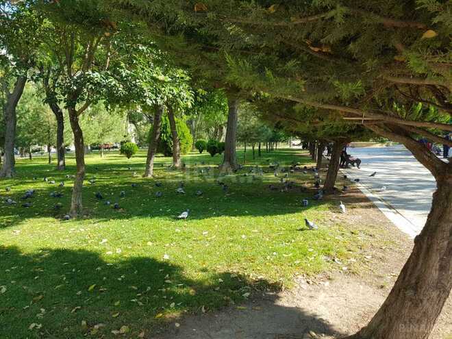 Satılır 3 otaqlı yeni tikili 144 m², Nəsimi r., photo 18 from 19