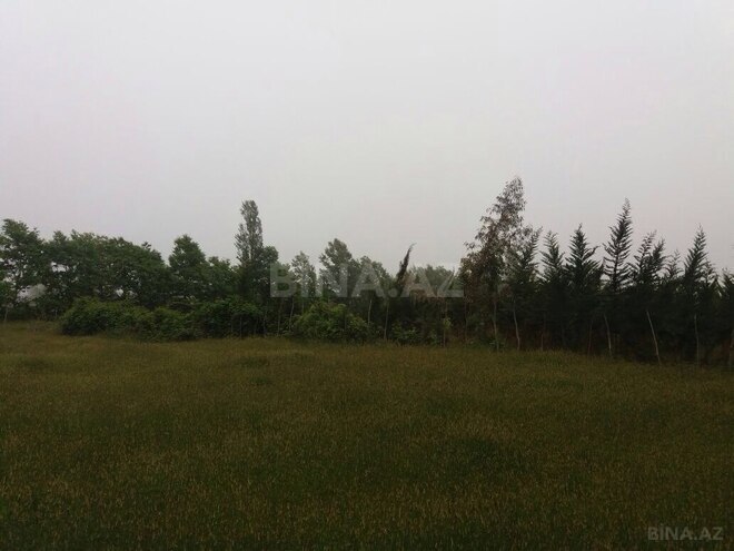 Продаётся  участок 25 сот, photo 4 from 6