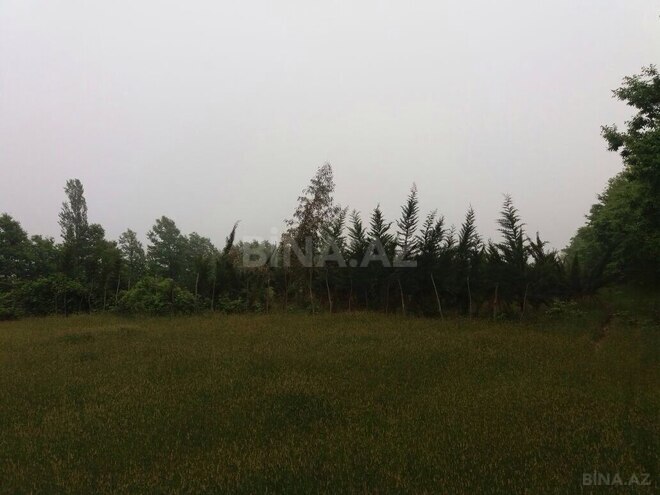 Продаётся  участок 25 сот, photo 5 from 6