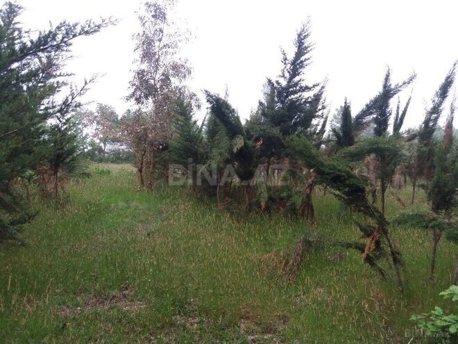 Продаётся  участок 25 сот, photo 3 from 6