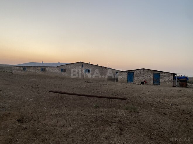 Объект - Гаджигабул - 15000 м² (2)