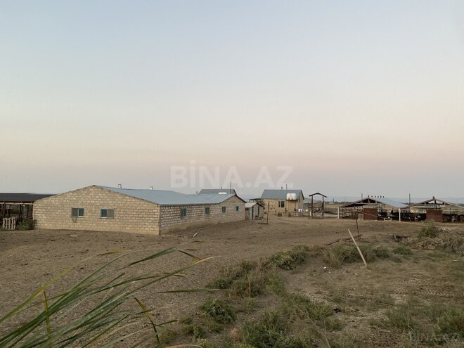 Объект - Гаджигабул - 15000 м² (18)