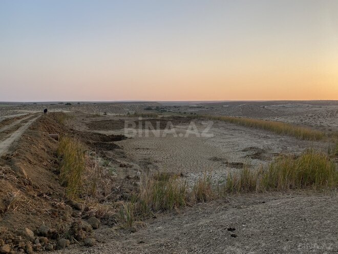 Объект - Гаджигабул - 15000 м² (21)