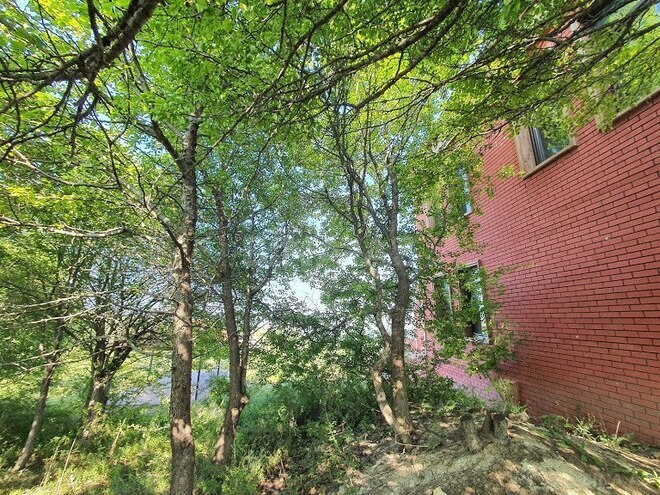 Satılır 5 otaqlı həyət evi/bağ evi 500 m², photo 25 from 29