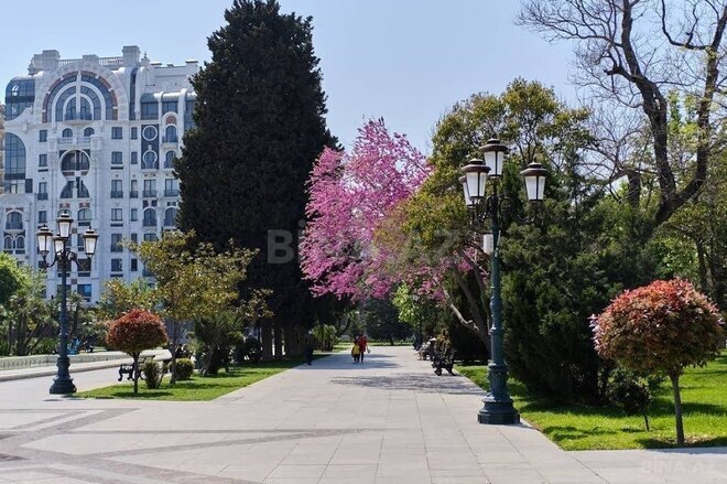 Satılır  obyekt 330 m², Sahil m., photo 8 from 11