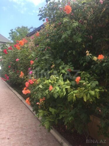 4 otaqlı həyət evi/bağ evi - Buzovna q. - 250 m² (14)