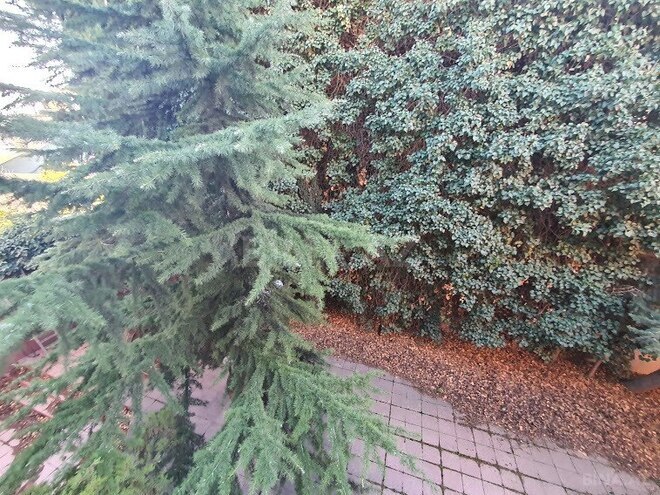 7-комн. дом/дача - пос. Ясамал - 460 м² (12)