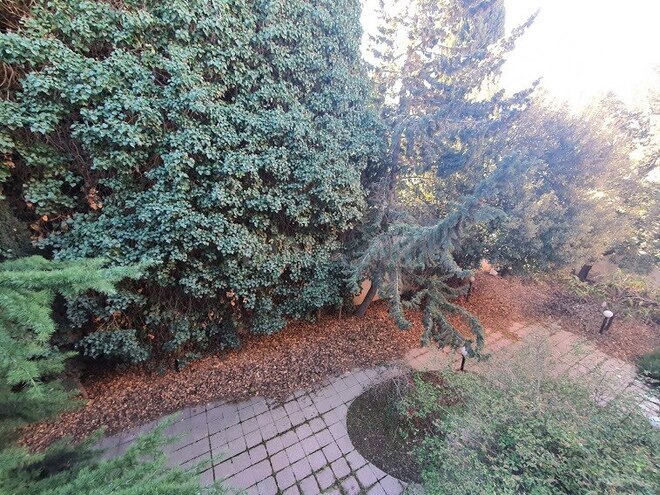 7-комн. дом/дача - пос. Ясамал - 460 м² (11)