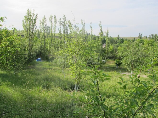7-комн. дом/дача - Гусар - 200 м² (22)