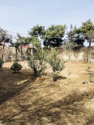 Həyət evi/Bağ evi - Şağan q. - 370 m² (5)