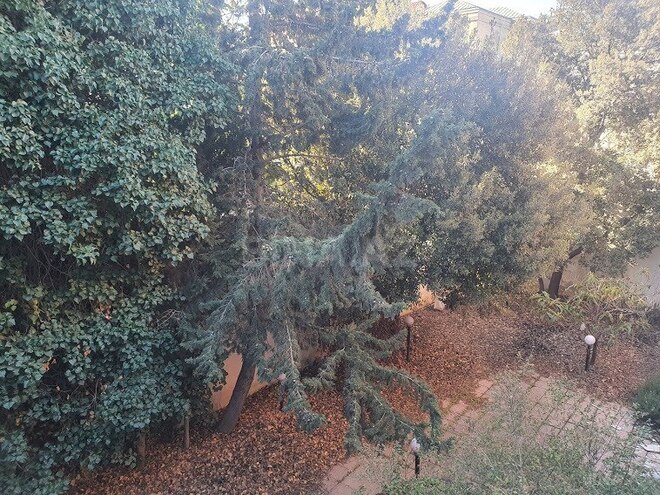 Satılır  torpaq 5 sot, Yasamal q., photo 11 from 28