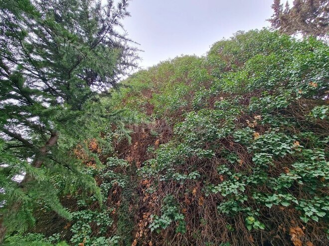 Satılır  torpaq 5 sot, Yasamal q., photo 9 from 28