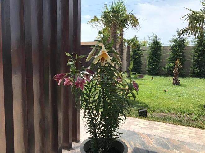 Сдаётся 4-комн. дом/дача 420 м², пос. Тюркан, photo 12 from 32