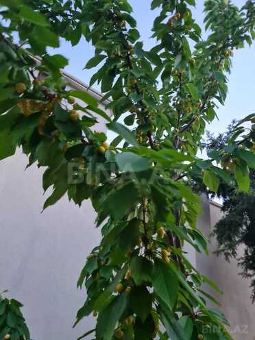 Həyət evi/Bağ evi - Mərdəkan q. - 280 m² (18)