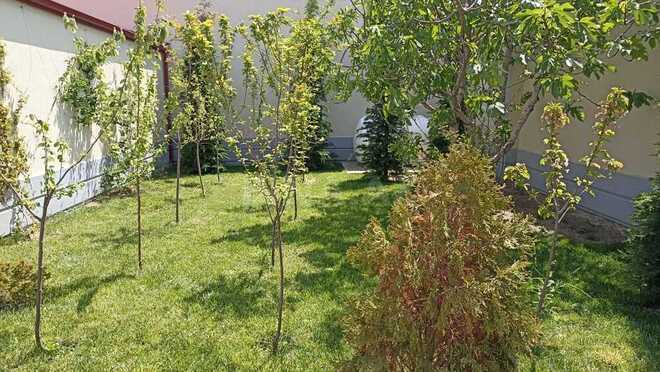 Сдаётся 5-комн. дом/дача 260 м², пос. Мардакан, photo 8 from 32