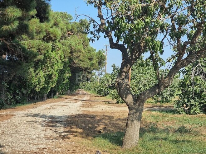 Satılır  obyekt 2 500 m², Maştağa q., photo 6 from 32