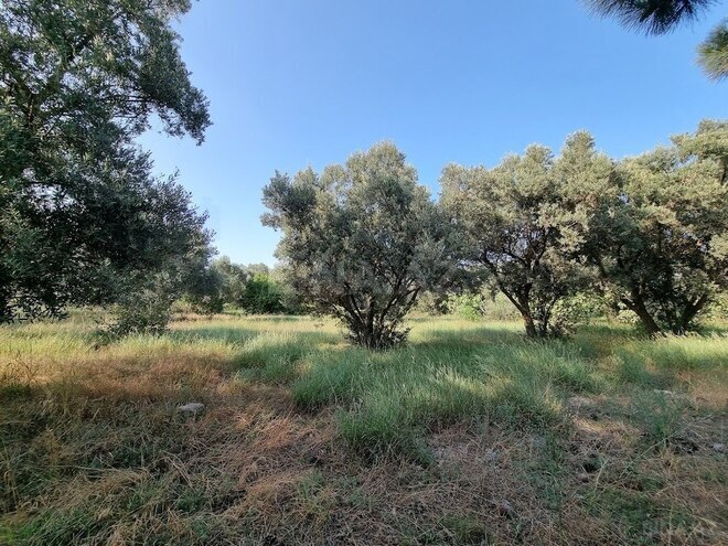 Satılır  obyekt 2 500 m², Maştağa q., photo 21 from 32