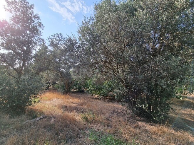 Satılır  obyekt 2 500 m², Maştağa q., photo 22 from 32