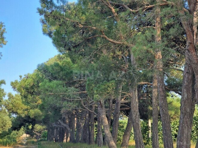 Satılır  obyekt 2 500 m², Maştağa q., photo 7 from 32