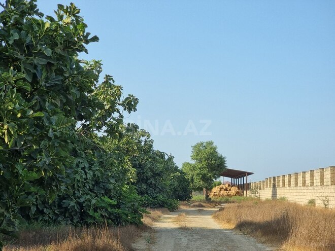 Satılır  obyekt 2 500 m², Maştağa q., photo 30 from 32