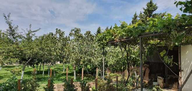 10-комн. дом/дача - пос. Новханы - 700 м² (25)