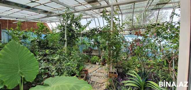 10-комн. дом/дача - пос. Новханы - 700 м² (29)