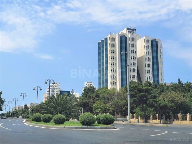 5 otaqlı həyət evi/bağ evi - Nəsimi r. - 700 m² (12)