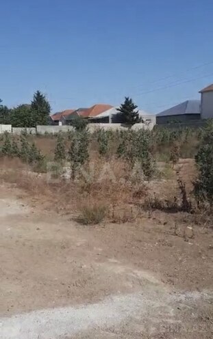 Продаётся  участок 30 сот, пос. Шаган, photo 5 from 6