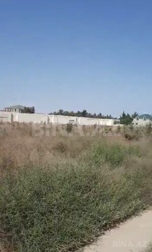 Продаётся  участок 30 сот, пос. Шаган, photo 4 from 6