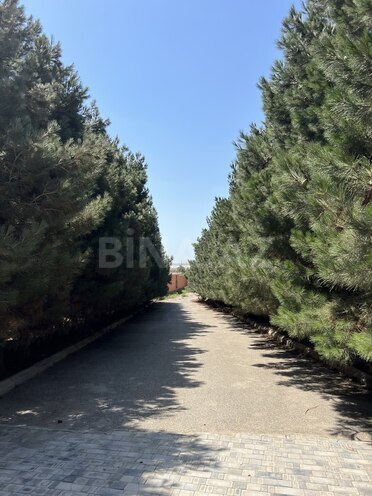 Продаётся  объект 9 000 м², пос. Дюбенди, photo 14 from 20