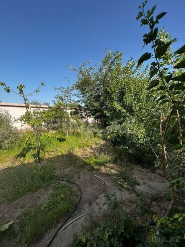 Продаётся  дом/дача 300 м², пос. Нардаран, photo 7 from 18
