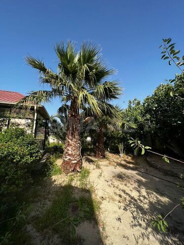 Продаётся  дом/дача 300 м², пос. Нардаран, photo 3 from 18
