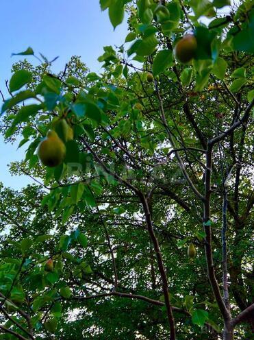 Satılır 4 otaqlı həyət evi/bağ evi 300 m², photo 25 from 32