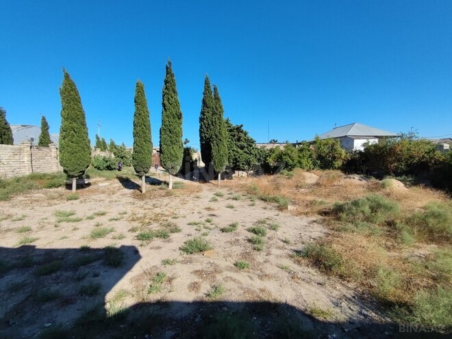 7 otaqlı həyət evi/bağ evi - Bilgəh q. - 404 m² (6)