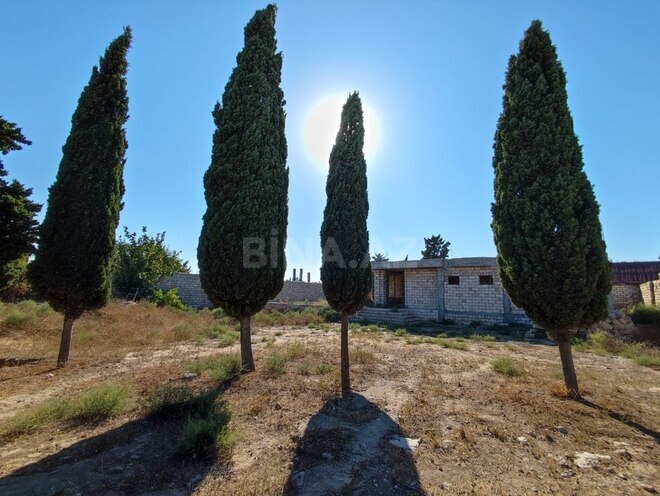 7 otaqlı həyət evi/bağ evi - Bilgəh q. - 404 m² (2)