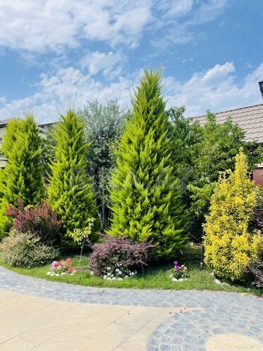 Həyət evi/Bağ evi - Mərdəkan q. - 390 m² (5)