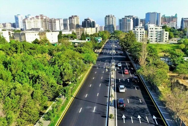 5 otaqlı həyət evi/bağ evi - Nəsimi r. - 700 m² (21)