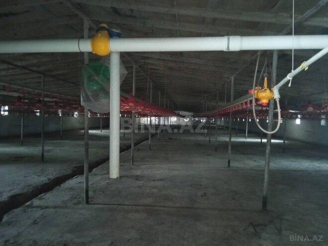 Продаётся  объект 5 148 м², пос. Сарай, photo 6 from 22