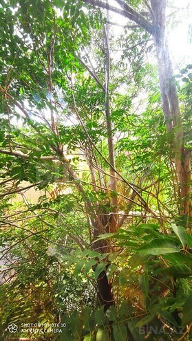 3 otaqlı köhnə tikili - İçəri Şəhər m. - 90 m² (20)