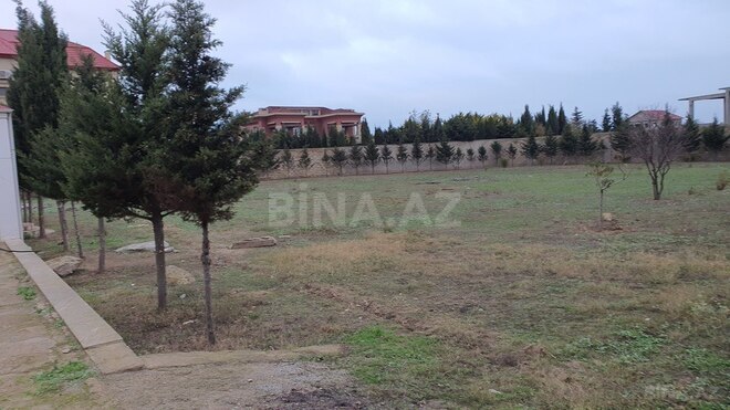 Продаётся  участок 59 сот, пос. Бадамдар, photo 6 from 12