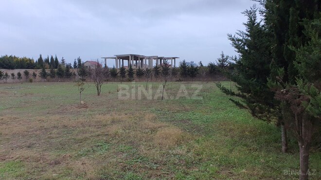 Продаётся  участок 59 сот, пос. Бадамдар, photo 3 from 12