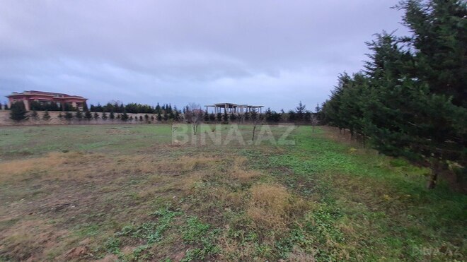 Продаётся  участок 59 сот, пос. Бадамдар, photo 11 from 12